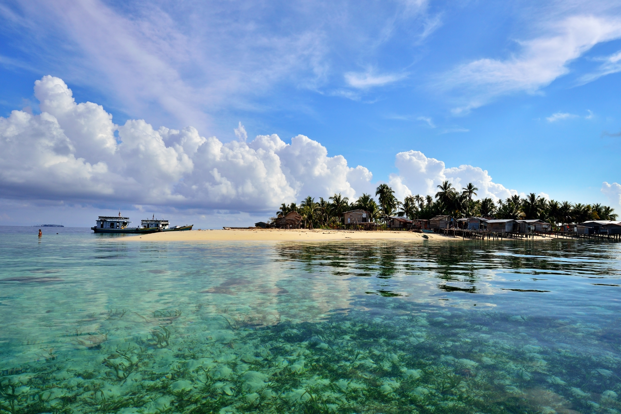 sepilok (4).webp